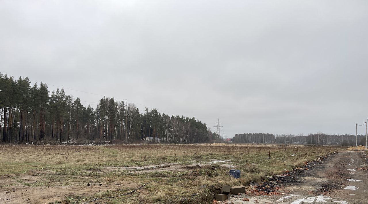 земля городской округ Богородский д Пешково фото 2