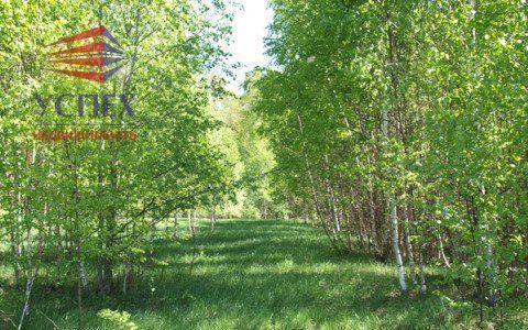 земля городской округ Сергиево-Посадский 81 км, территория ДНП Александровка, Богородское, Дмитровское шоссе фото 2