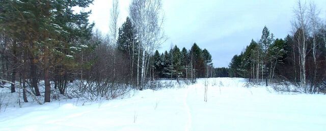 земля тер СТСН Тихий Балтым Екатеринбург фото