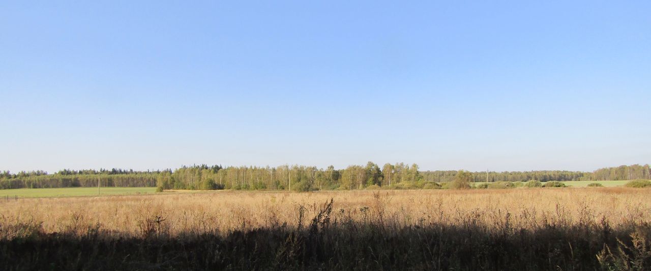 земля городской округ Рузский д Горки фото 1