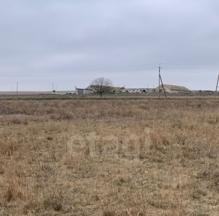 земля р-н Черноморский с Новоивановка Новоивановское сельское поселение фото 4