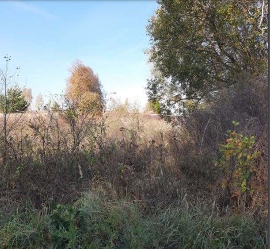 земля городской округ Ступино д Авдотьино 59 км, Михнево, Новокаширское шоссе фото 3