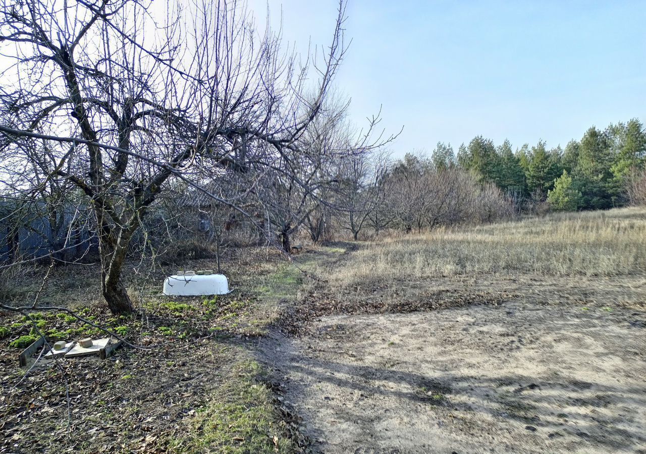 земля р-н Рамонский с Ямное ул Комсомольская Яменское сельское поселение, Воронеж фото 9