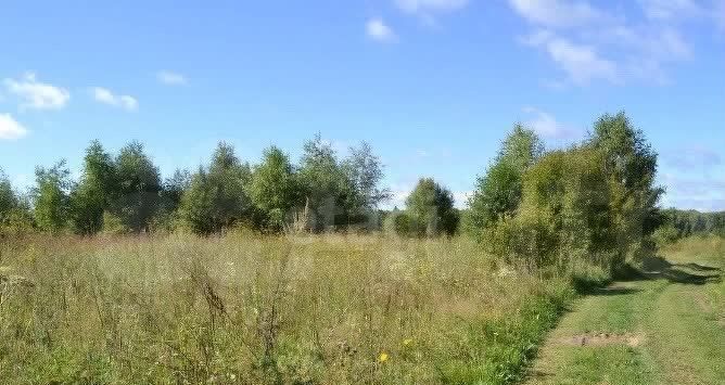 земля р-н Малоярославецкий д Зайцево сельское поселение Головтеево, Кудиново фото 1