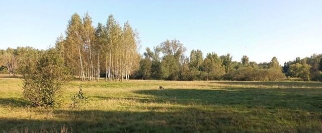 земля д Савинки фото