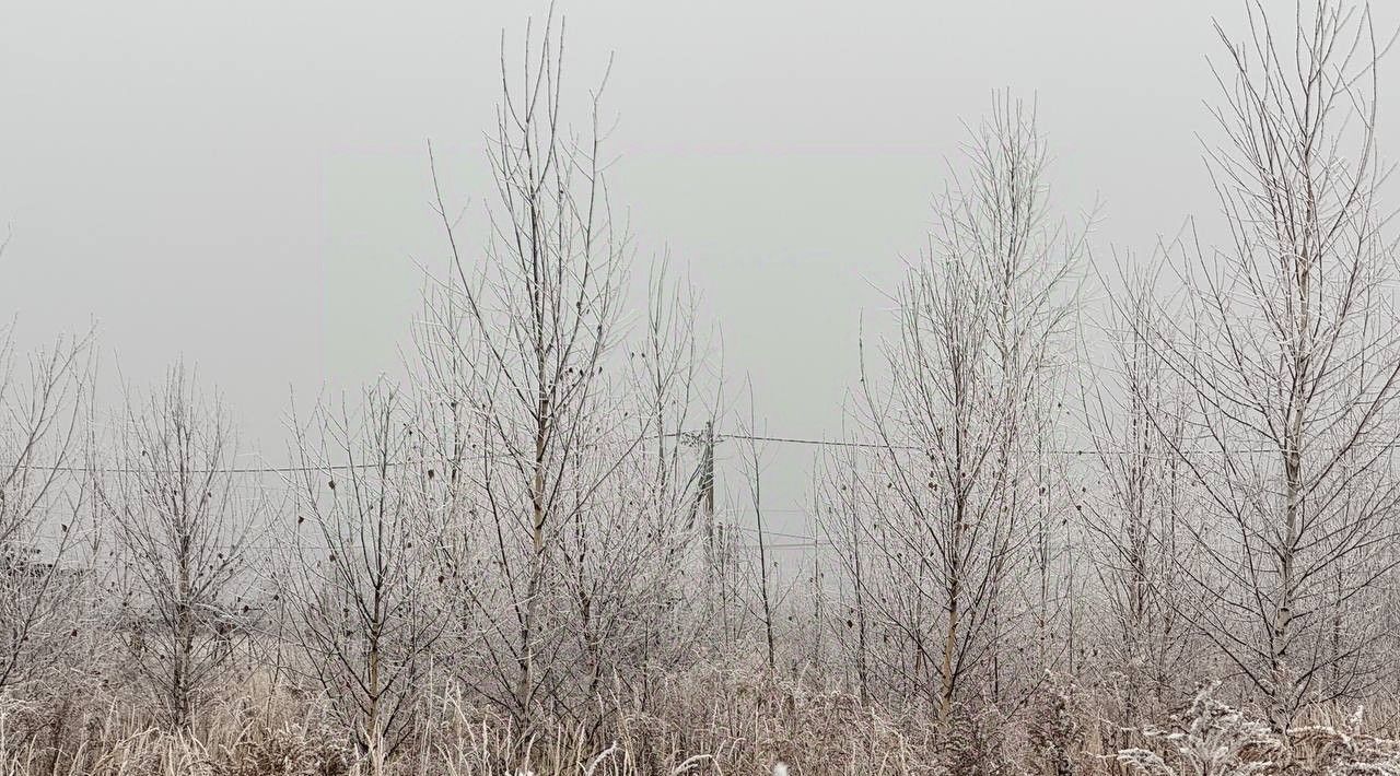 земля городской округ Кашира д Тарасково фото 1