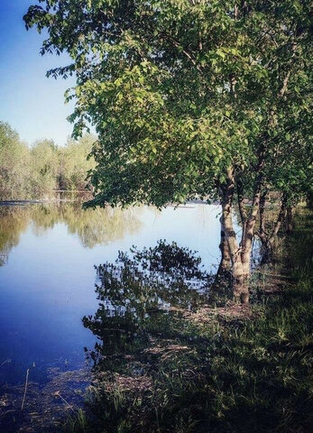 р-н Веселовский п Средний Маныч Набережная улица фото