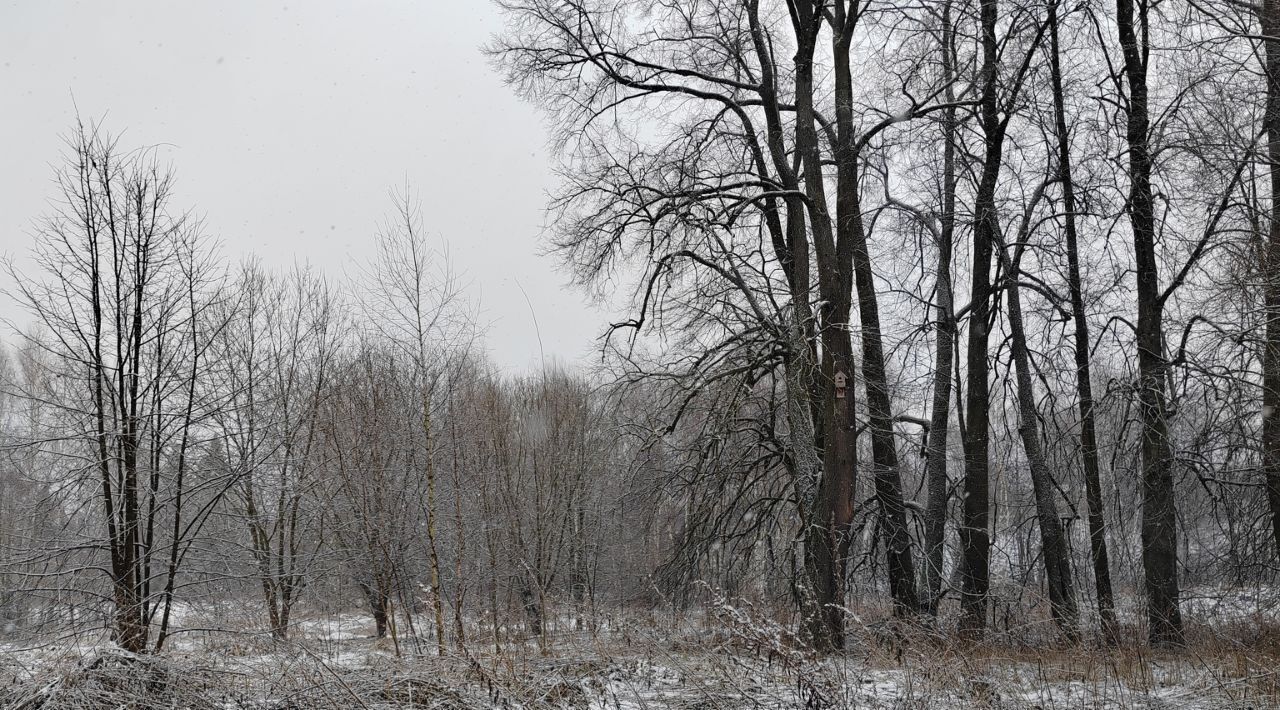 офис городской округ Чехов д Аксенчиково фото 1