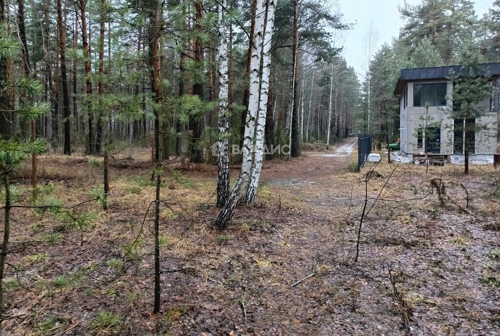 земля Мурминское сельское поселение, садоводческое товарищество Велье, 1-й проезд Велье фото 4