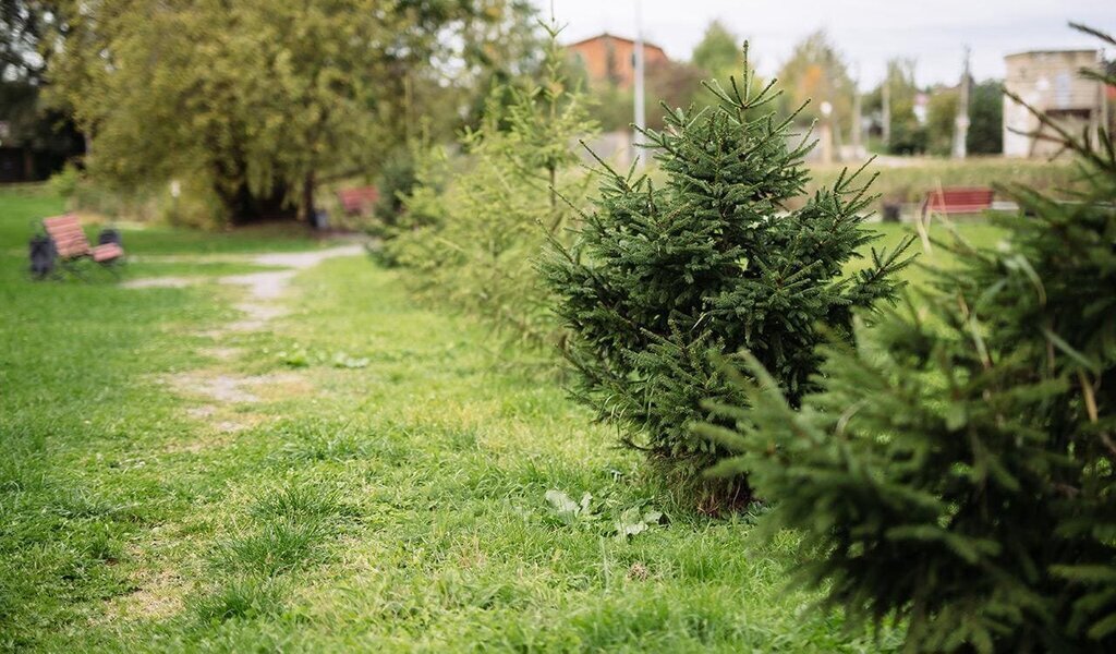 земля городской округ Дмитровский коттеджный посёлок Усадьбы Удино, Лобня фото 10