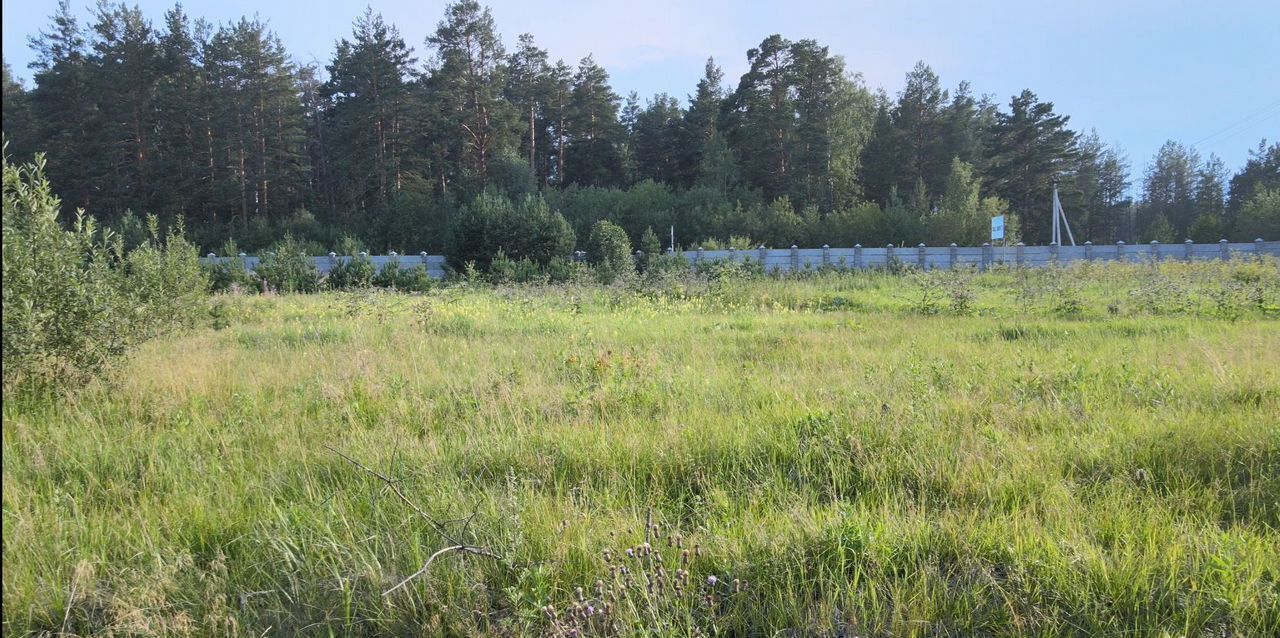 земля г Екатеринбург р-н Чкаловский снт Шиловский кордон фото 3