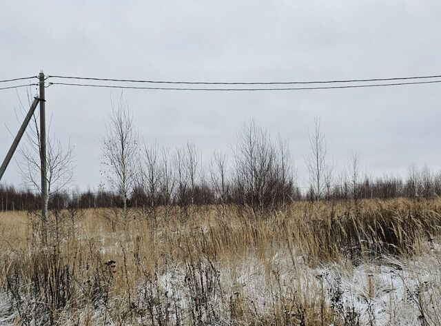 городской округ Луховицы п Совхоза Астапово ул. Лукина фото