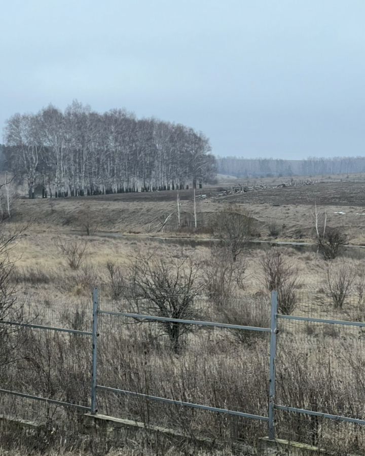 дом р-н Корсаковский с Корсаково ул Пролетарская 46 Корсаковское сельское поселение, Тульская область, Чернь фото 17