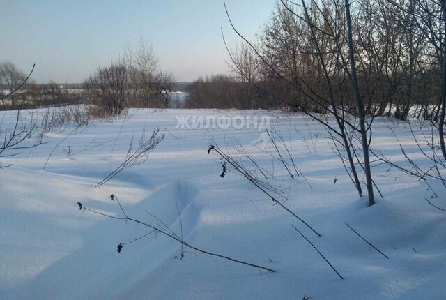 р-н Мошковский с Сокур ул Рабочая Гагаринская фото