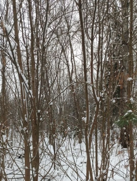 земля городской округ Можайский д Красновидово ул Новостройка фото 1