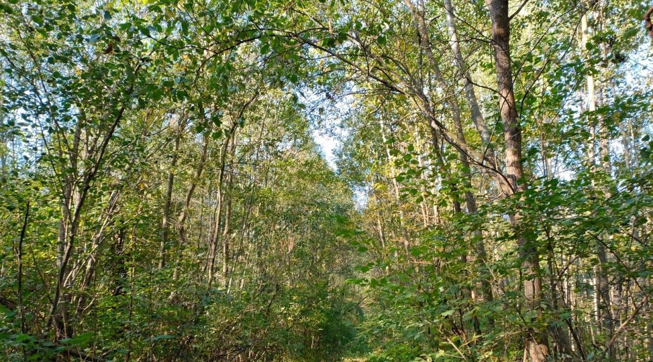 земля р-н Ломоносовский п Новогорелово Виллозское городское поселение, Проспект Ветеранов, ш. Красносельское фото 3