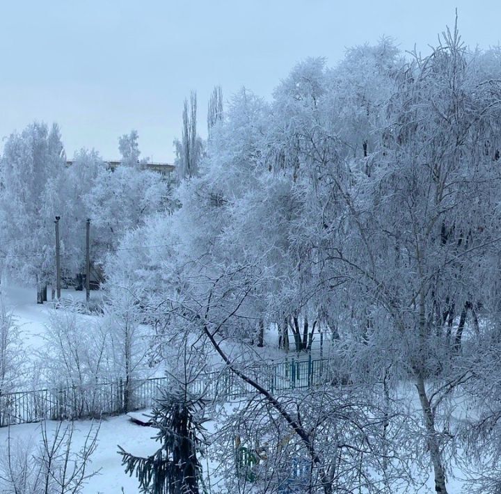 квартира г Омск р-н Кировский ул Дмитриева 4/1 фото 7