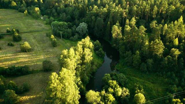 земля Фряновское шоссе фото