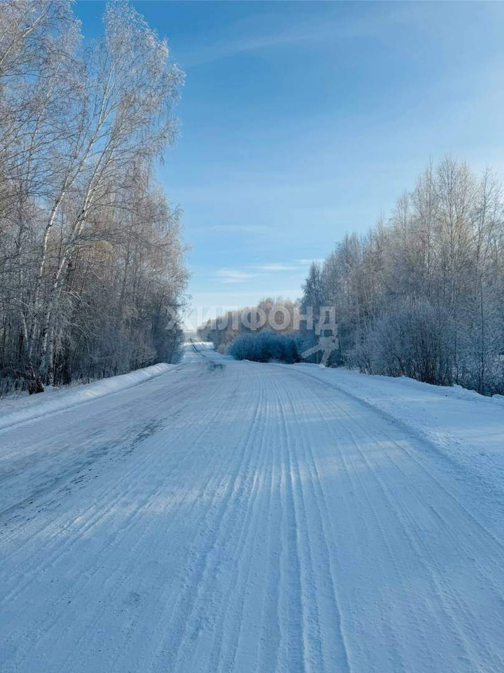 квартира р-н Черепановский с Дорогина Заимка ул Заводская 14 фото 8