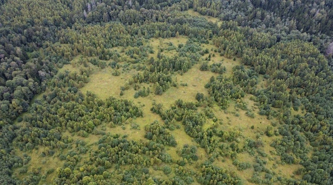 земля городской округ Волоколамский д Матрёнино фото 3