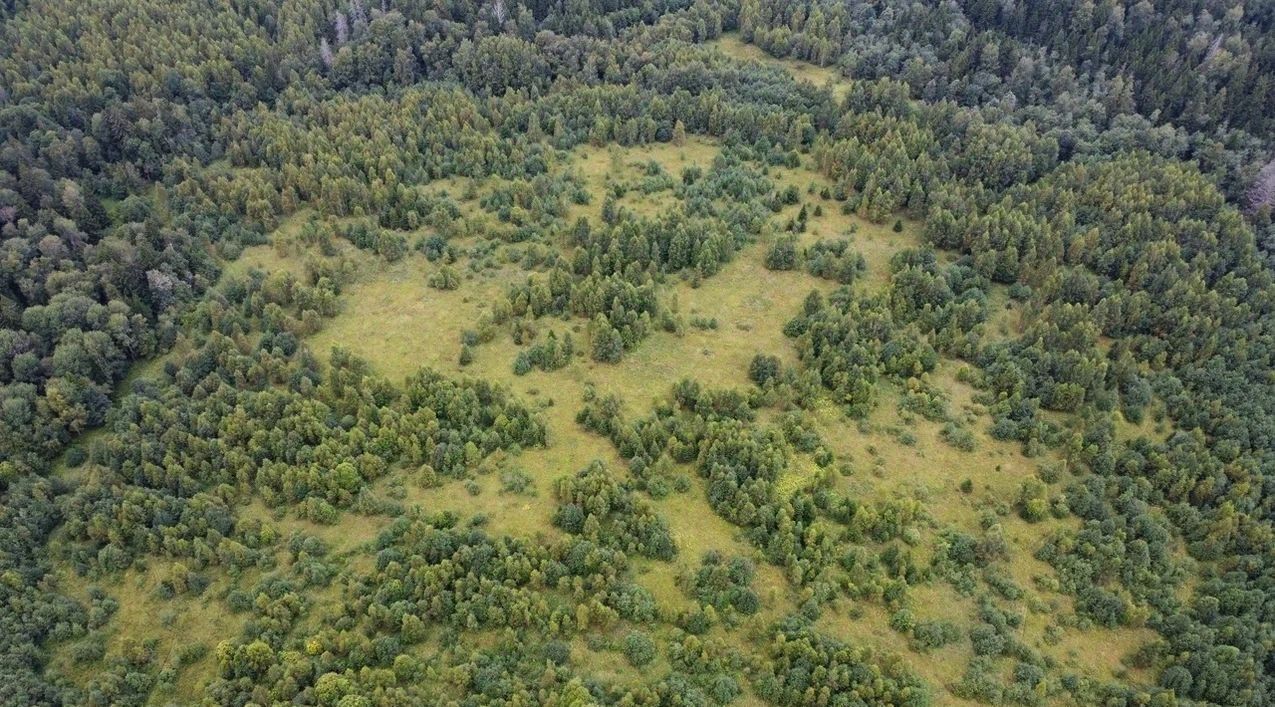 земля городской округ Волоколамский д Матрёнино фото 3