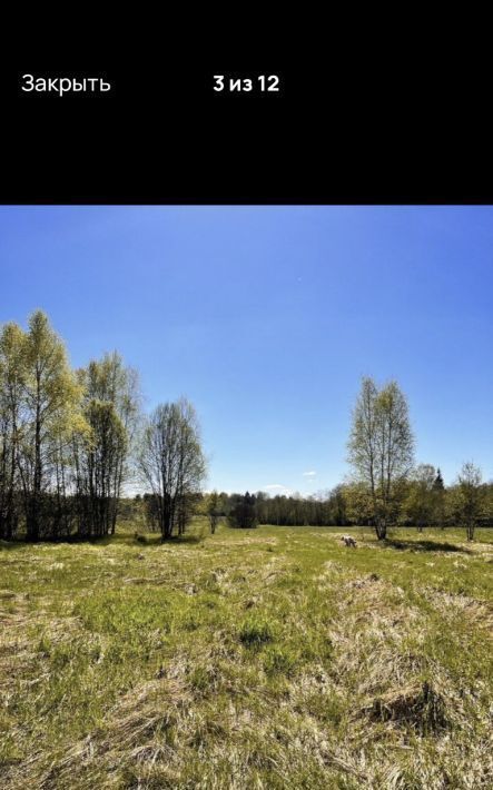 земля городской округ Шаховская Дорино-2 ДНП фото 7