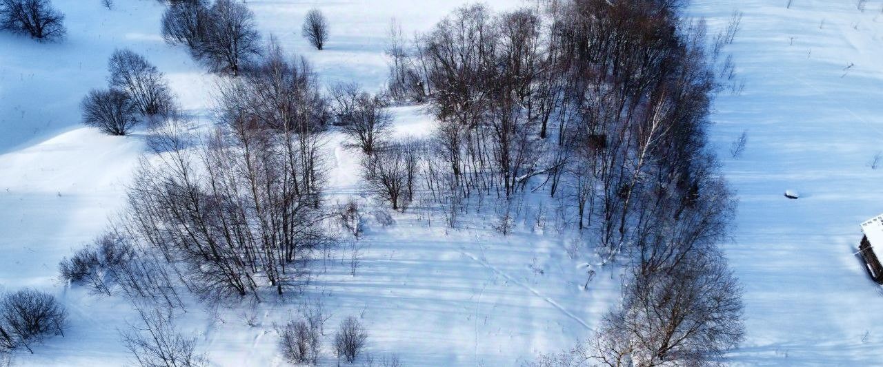 земля городской округ Волоколамский д Золево фото 1