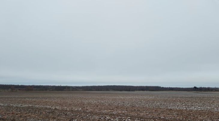 земля городской округ Дмитровский д Трехденево фото 1