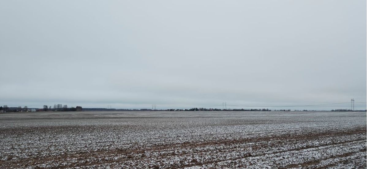 земля городской округ Дмитровский д Трехденево фото 1