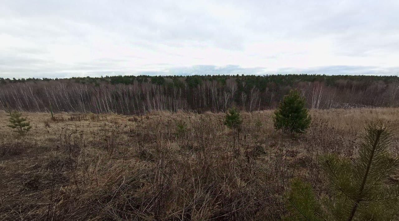 земля городской округ Коломенский д Зиновьево Коломна городской округ фото 1