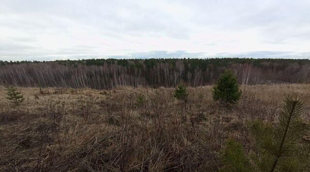 земля д Зиновьево Коломна городской округ фото