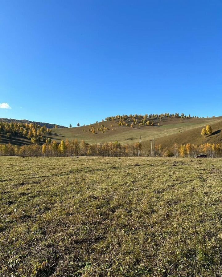 земля р-н Чемальский п Верх-Анос ул Центральная Горно-Алтайск фото 4