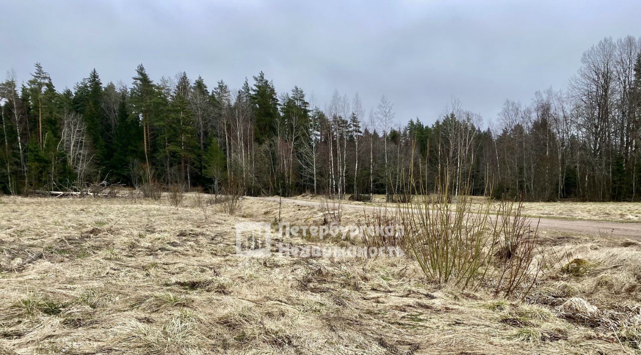 земля р-н Выборгский п Дятлово Советское городское поселение, Озерки фото 8