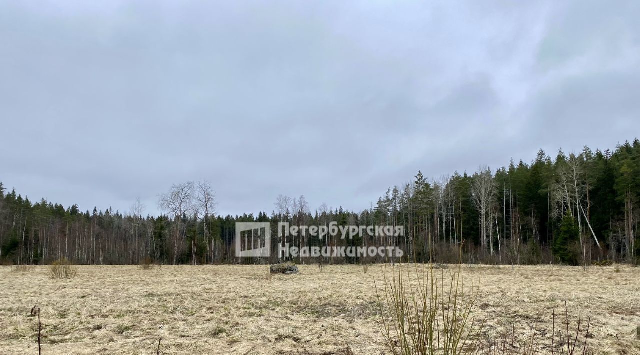 земля р-н Выборгский п Дятлово Советское городское поселение, Озерки фото 11