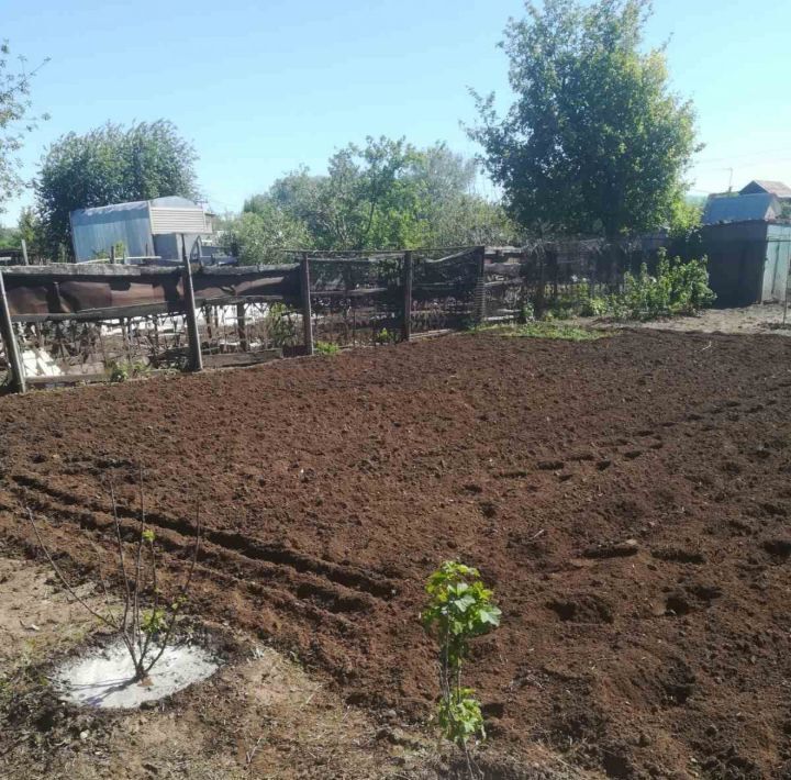 дом р-н Оренбургский х Степановский сельсовет, СНТ, ул. Цветочная, Ленинский фото 13