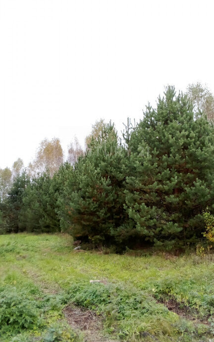 дом городской округ Пушкинский с Братовщина ул Центральная 168 Бабушкинская фото 8