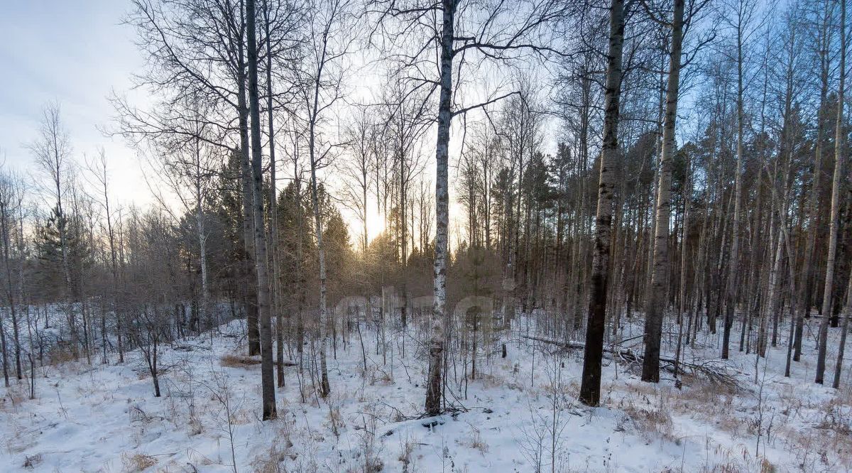 земля р-н Нижнетавдинский с Тюнево ул Звездная фото 10