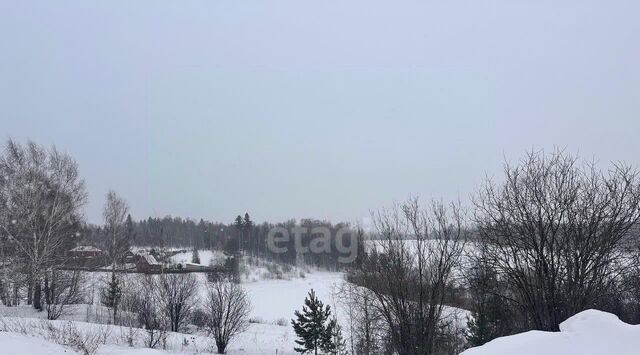 ул Центральная 50 фото