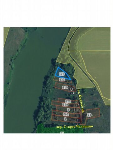 земля д Старое Челищево Бондари фото