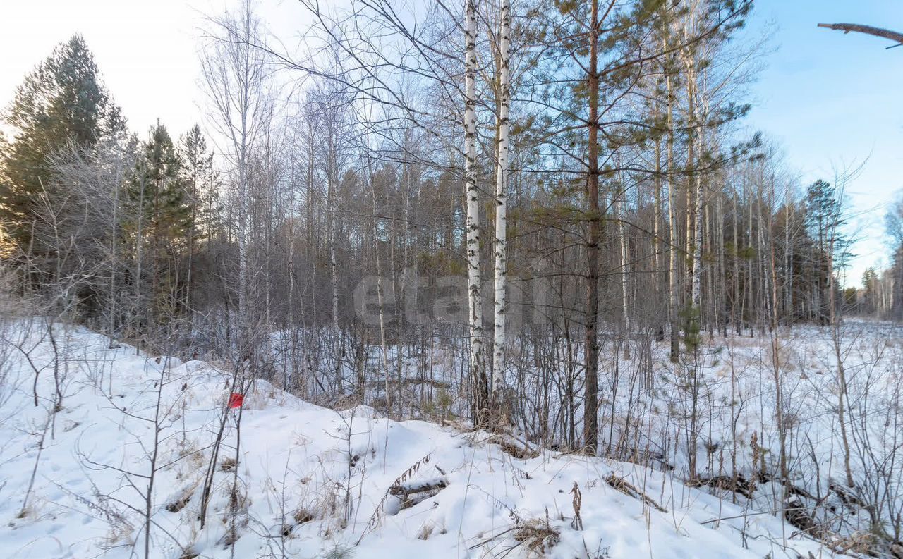 земля р-н Нижнетавдинский с Тюнево ул Звездная Тюмень фото 3