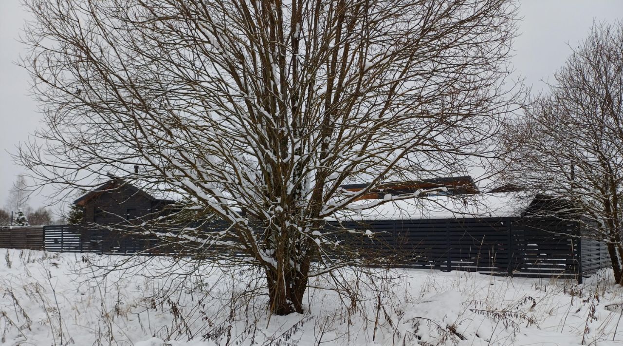 земля городской округ Наро-Фоминский д Вышегород фото 2