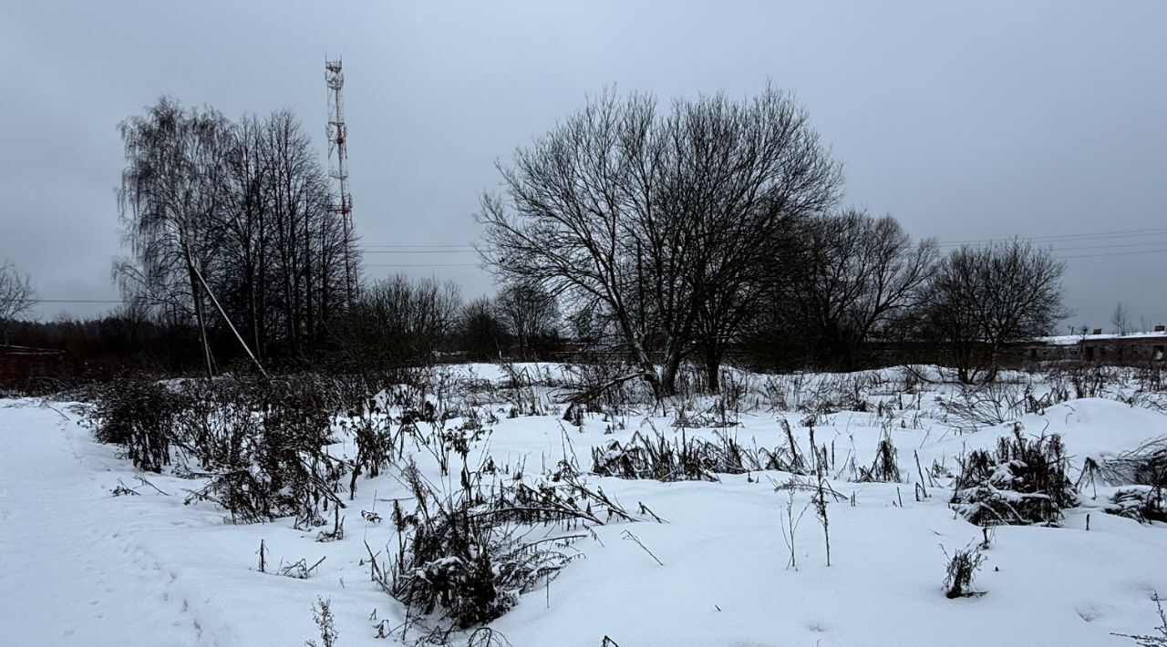 земля городской округ Сергиево-Посадский д Царевское с пос, Пушкинский городской округ фото 6