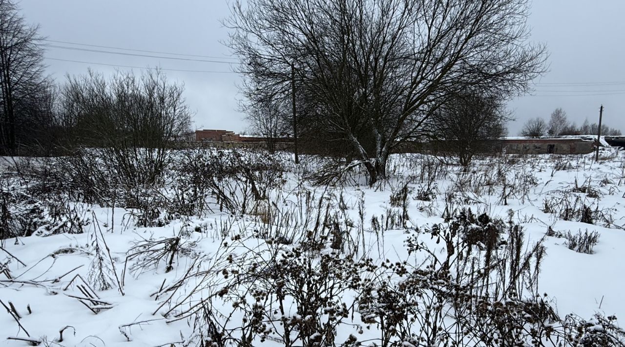 земля городской округ Сергиево-Посадский д Царевское с пос, Пушкинский городской округ фото 7