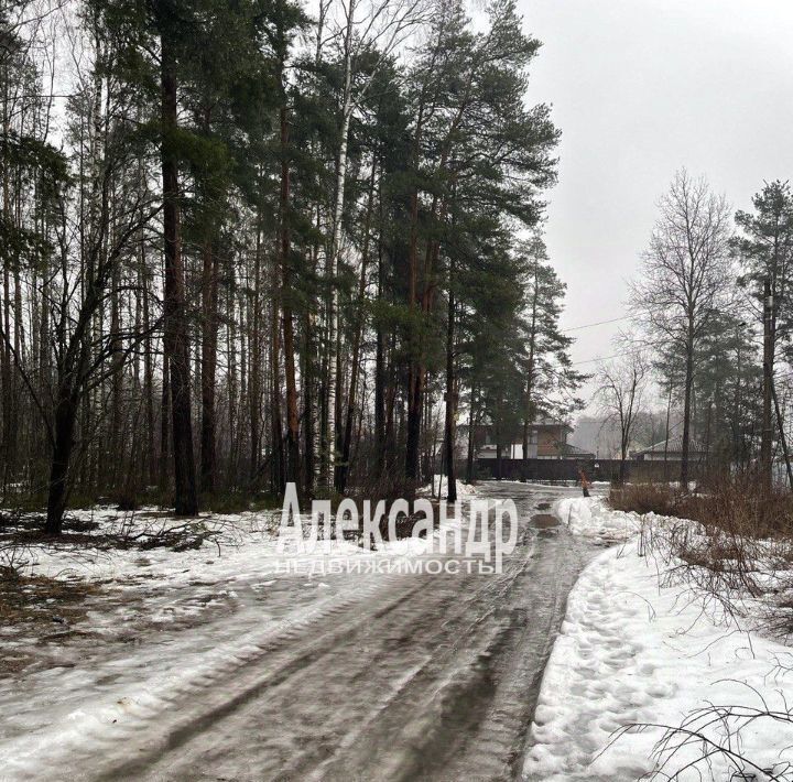 земля г Санкт-Петербург п Парголово снт тер.НИИТ Песочное метро Проспект Просвещения аллея 1-я, 14 фото 3