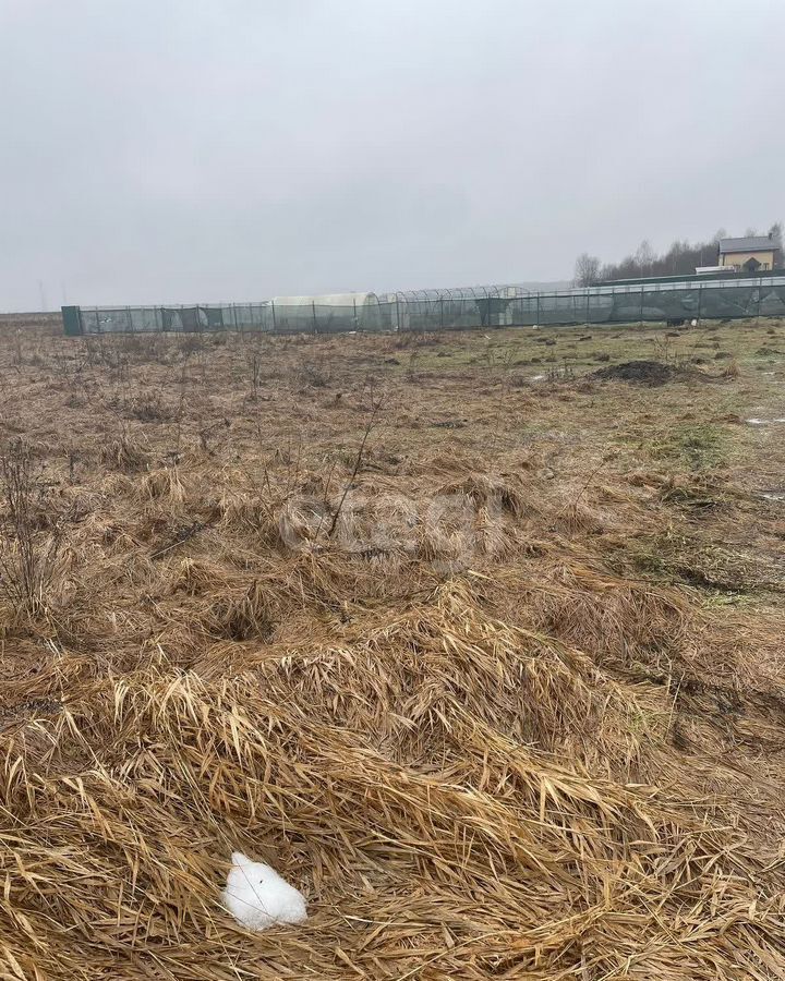 земля городской округ Чехов д Алфёрово 48 км, Чехов, Варшавское шоссе фото 1