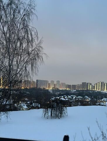 д Гаврилково Молжаниново фото