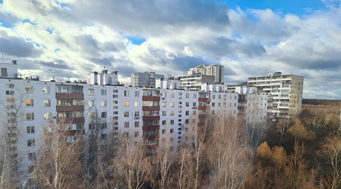 квартира г Москва метро Южная ул Днепропетровская 17 муниципальный округ Чертаново Центральное фото 29