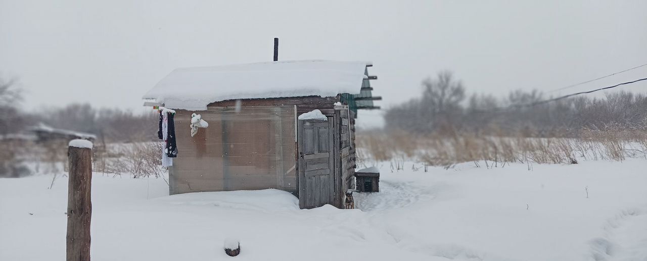 дом р-н Смоленский с Новотырышкино ул Советская 19 Новотырышкинский сельсовет, Белокуриха фото 10