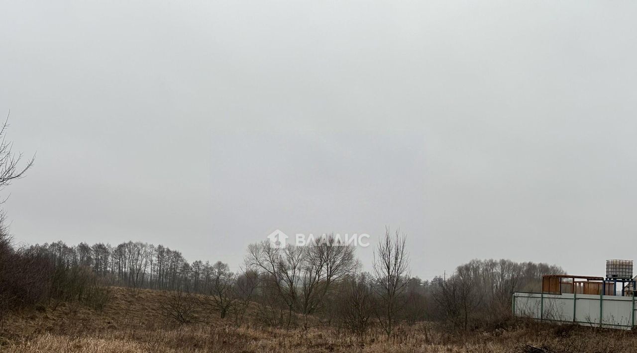 земля городской округ Зарайск д Мендюкино пос. Новый фото 3