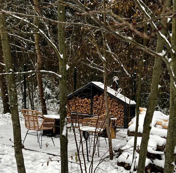 дом городской округ Истра д Родионцево 32 фото 4